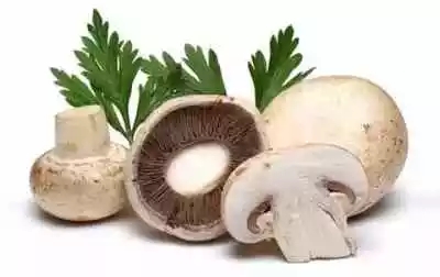 科普健康|史上最全防癌食物清单！为了家人再忙也要看！