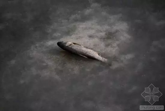 行业新闻|看看外媒眼中的中国水污染：比空气污染更严重！