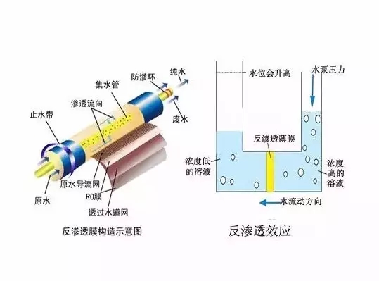 科普|净水器出现泡泡或发白现象的原因